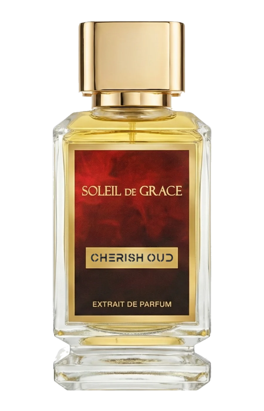 בקבוק הבושם Cherish Oud, 100 מ"ל